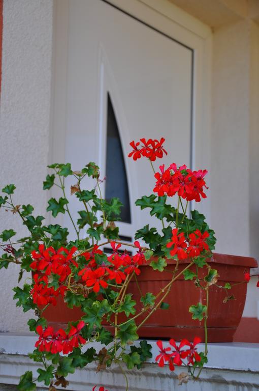 Apartments Villa Anka Opatija Room photo